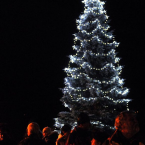 Rozsvěcení vánočního stromu